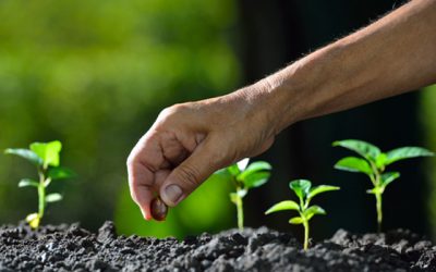 Il lead cos’è e perché è importante classificarlo nel marketing